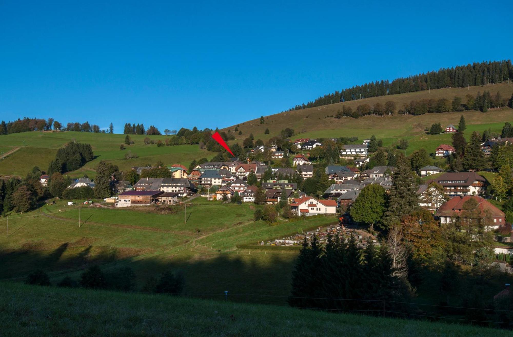 Apartment 03 - Ferienresidenz Roseneck, Mit Schwimmbad In Todtnauberg Bei Feldberg Εξωτερικό φωτογραφία