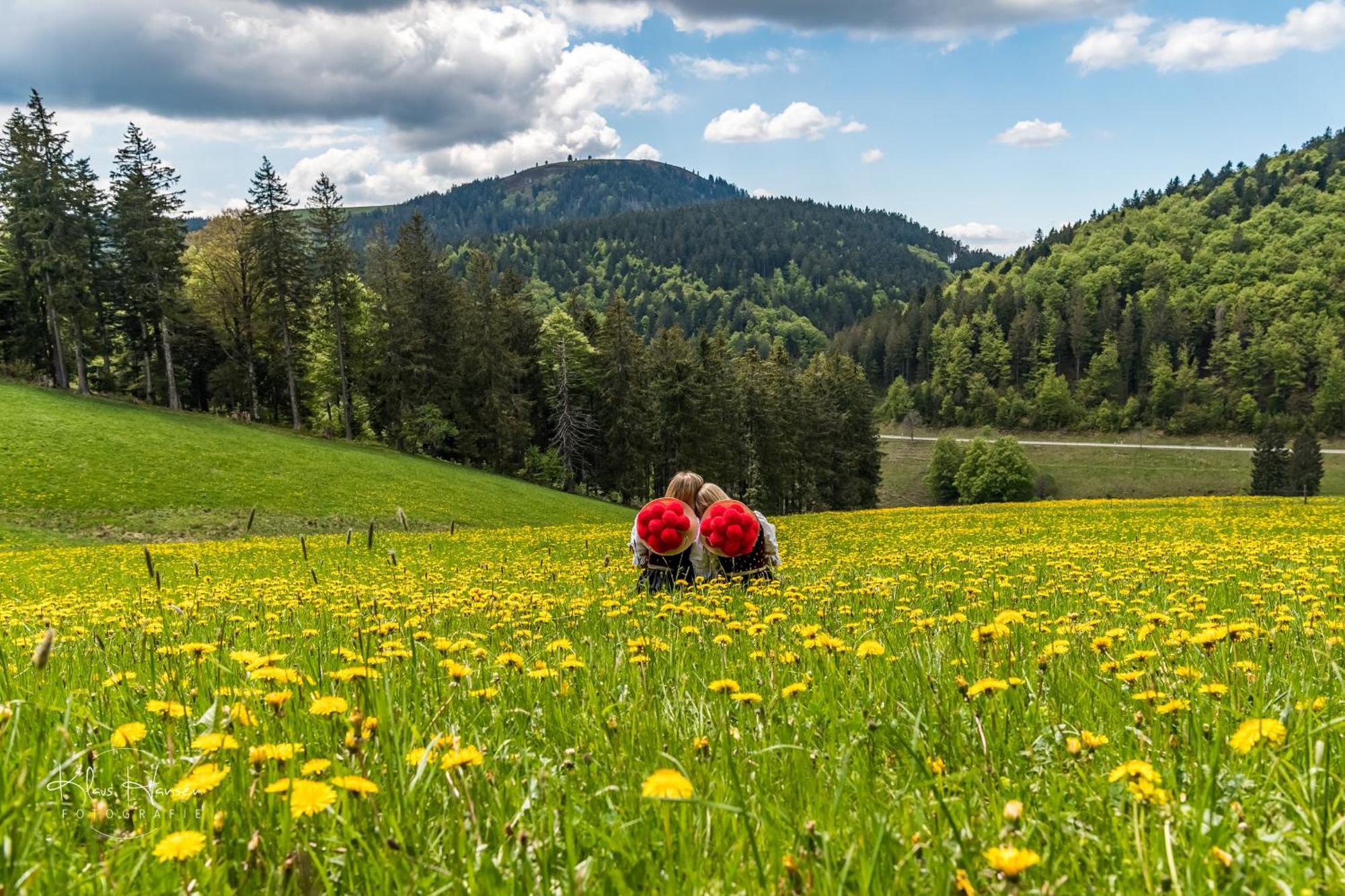 Apartment 03 - Ferienresidenz Roseneck, Mit Schwimmbad In Todtnauberg Bei Feldberg Εξωτερικό φωτογραφία
