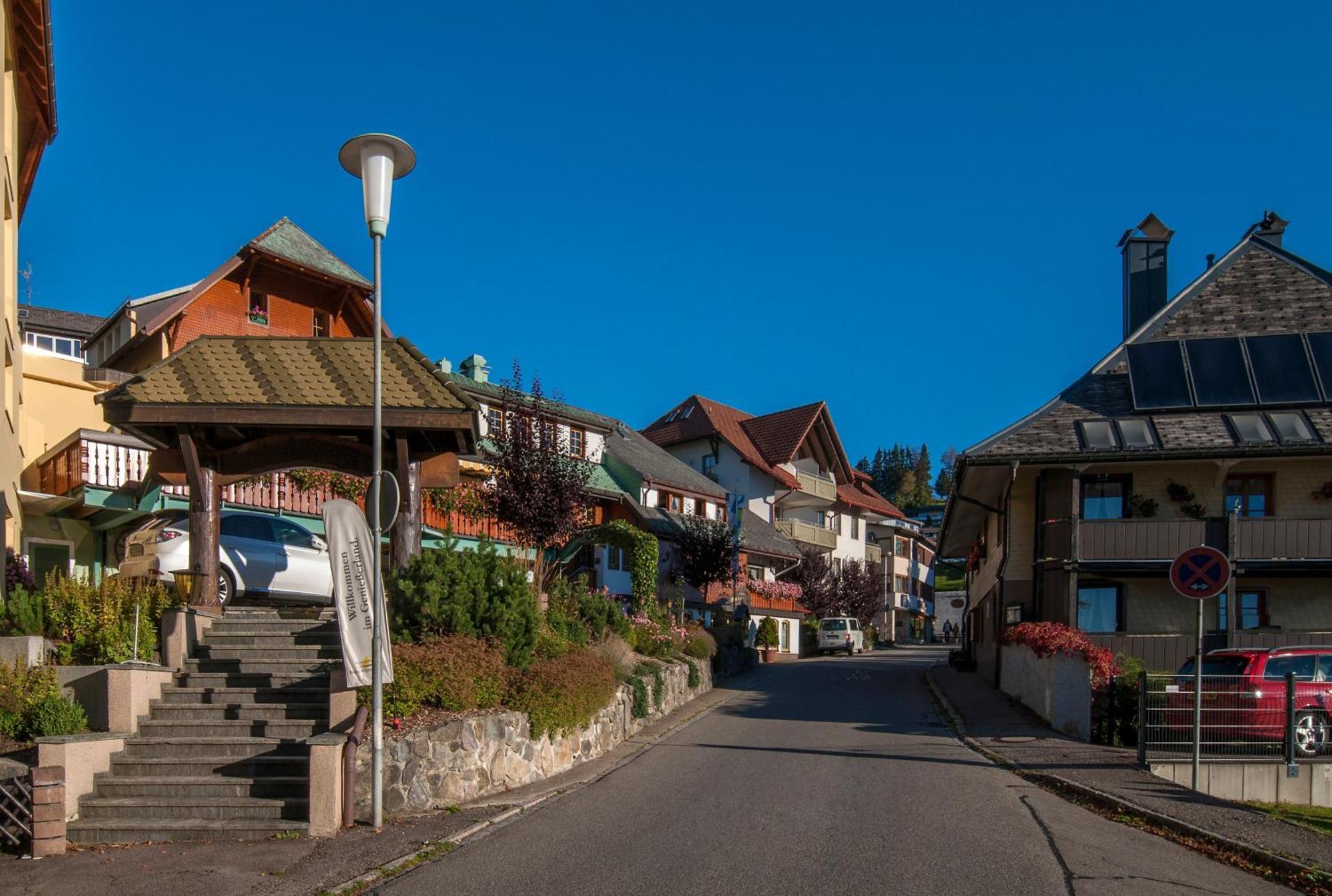 Apartment 03 - Ferienresidenz Roseneck, Mit Schwimmbad In Todtnauberg Bei Feldberg Εξωτερικό φωτογραφία