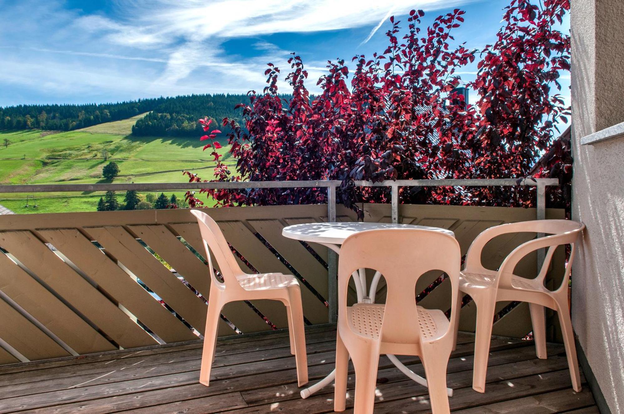 Apartment 03 - Ferienresidenz Roseneck, Mit Schwimmbad In Todtnauberg Bei Feldberg Εξωτερικό φωτογραφία